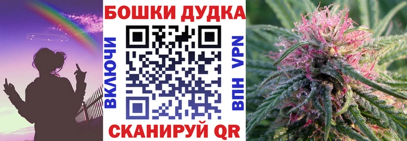 KRAKEN ссылка  Болгар  сайты даркнета наркотические препараты  где купить наркоту  Шишки марихуана семена 